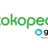 Jangan Panik Dulu Kalau Tidak Bisa Melakukan Pembayaran di Tokopedia pakai GoPay, Simak Jawaban dan Solusinya