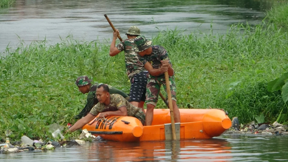 Eceng gondok di sungai bremi