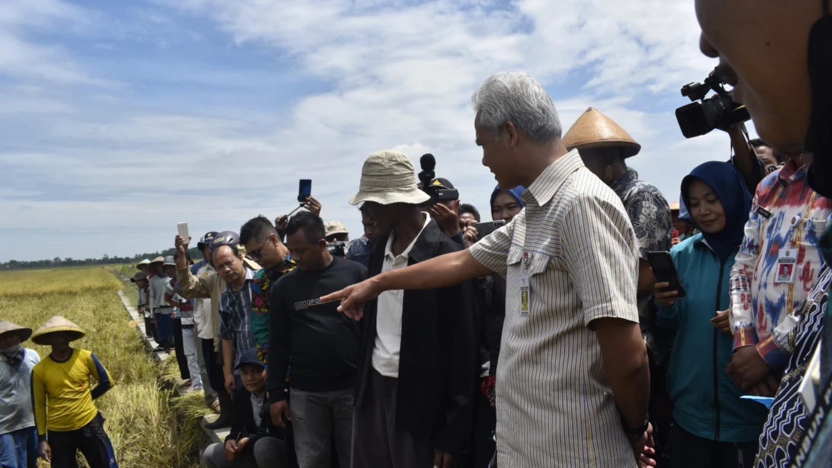 Pupuk Bersubsidi Tidak Tepat Sasaran, Petani Wadul ke Ganjar