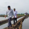 Duh, Dampak Tanggul Laut Kota Pekalongan Mulai Dirasakan Pesisir Batang