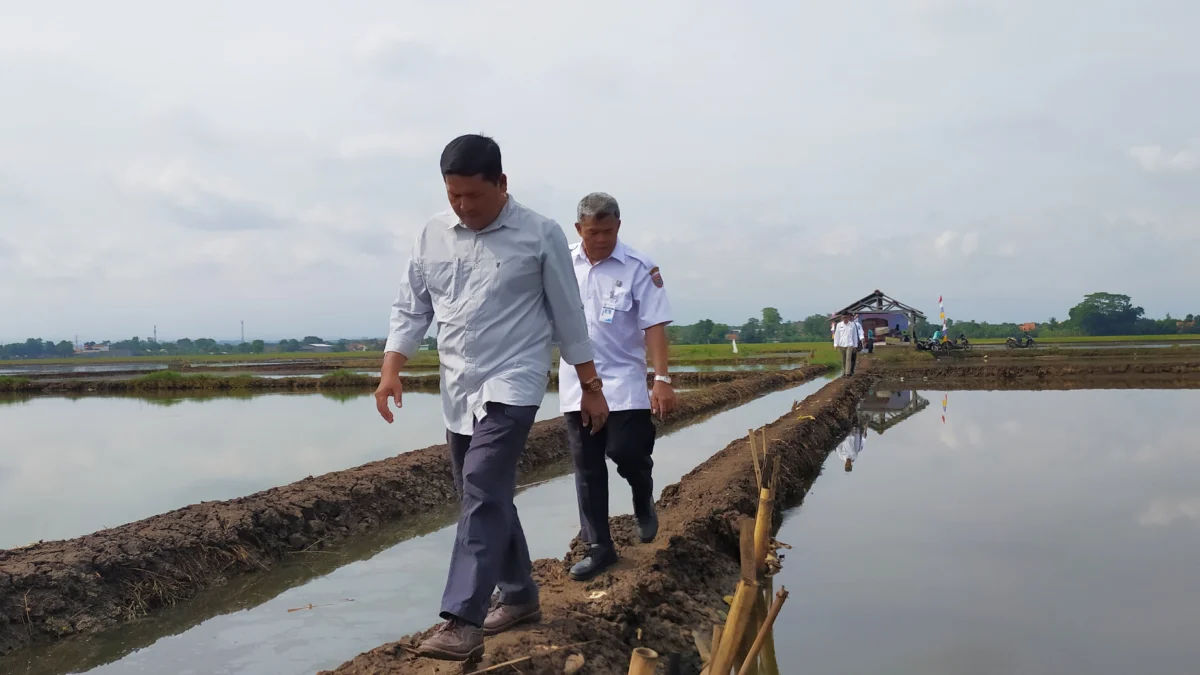 Duh, Dampak Tanggul Laut Kota Pekalongan Mulai Dirasakan Pesisir Batang