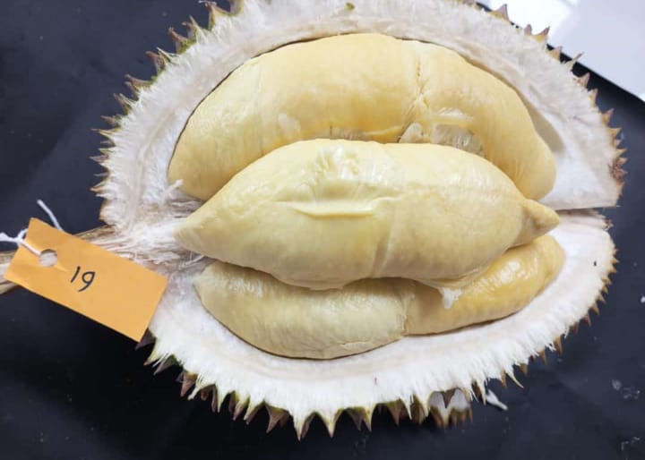 durian juara pertama