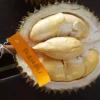 durian kontes