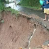 Hujan Lebat, Talud Jalan Desa Lumeneng Longsor