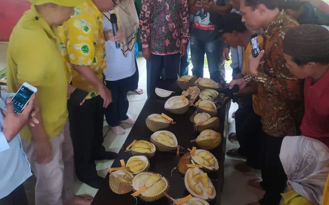 Kadin Pekalongan Dorong Petani Durian Budidayakan Varietas Unggulan Biar Tembus Pasar Ekspor