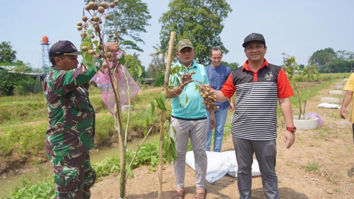 Agrowisata Petik Kelengkeng