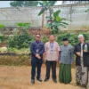 Bantuan Green House