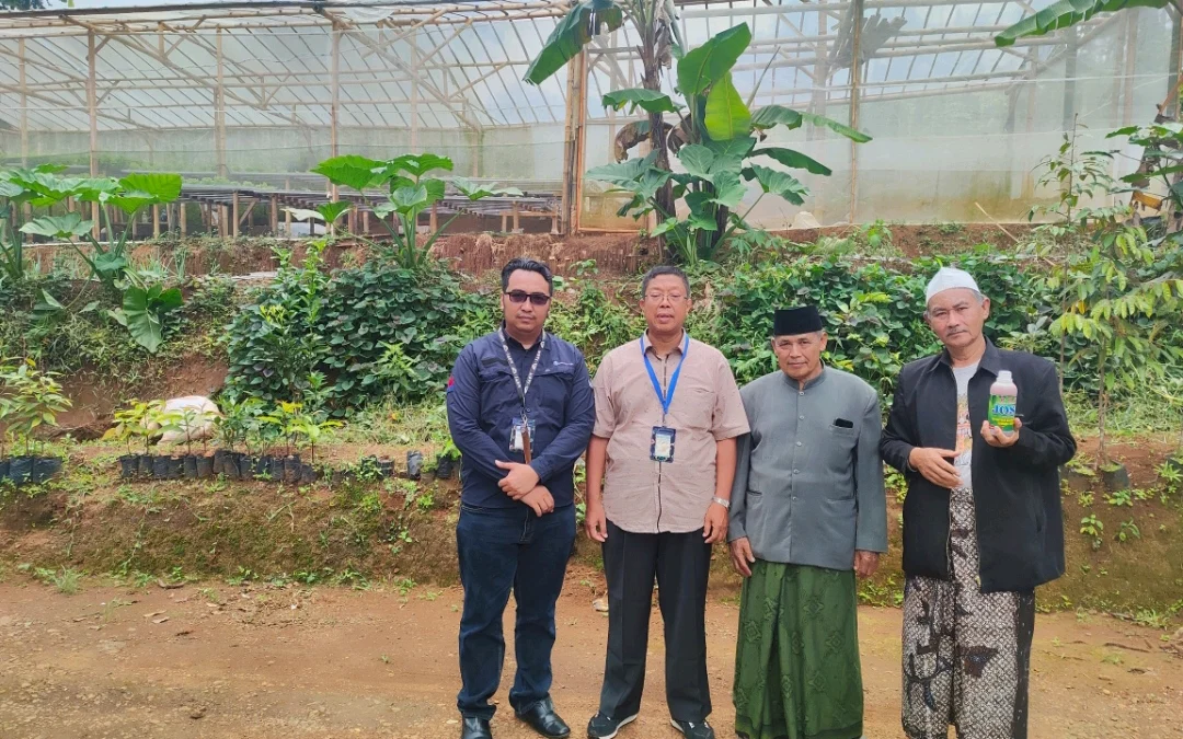 Bantuan Green House