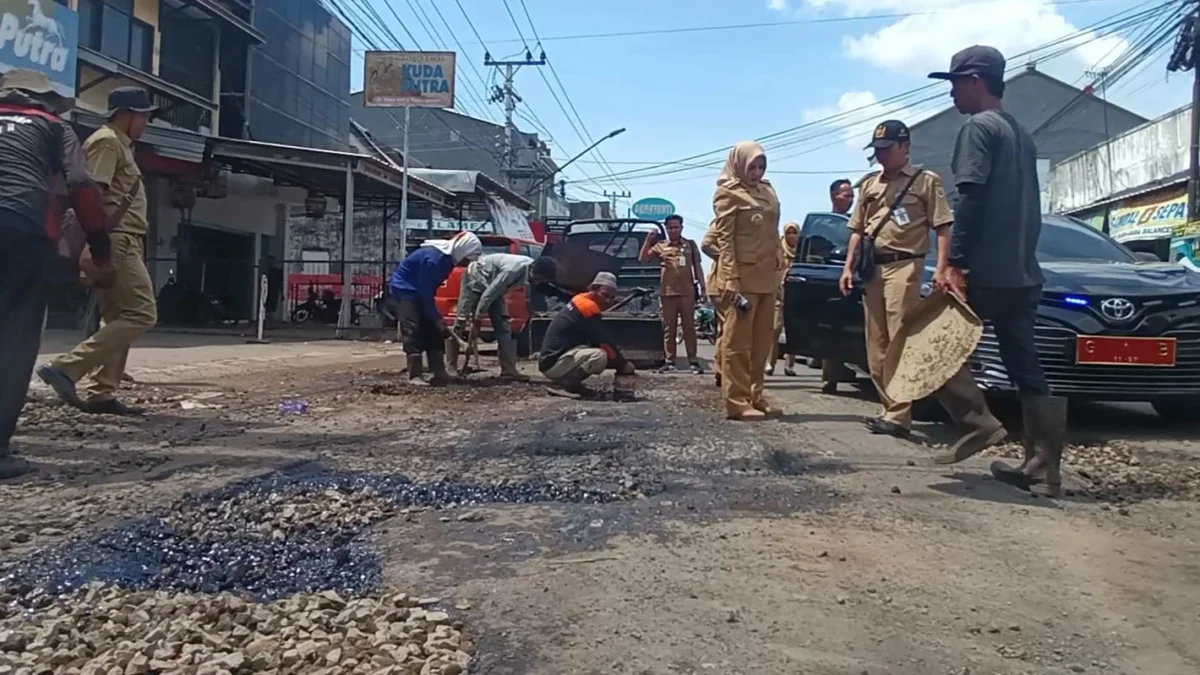 Bupati Fadia Arafiq Sidak Perbaikan Jalan Rusak Kedungwuni