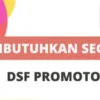 DSF Promotor Indosat