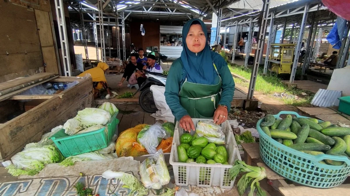 Harga komoditas sayuran