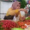 Wah, Harga Cabe Terjun Bebas Jadi Rp 30 Ribu Perkilogram, Dinperindag Terus Pantau Sejumlah Pasar