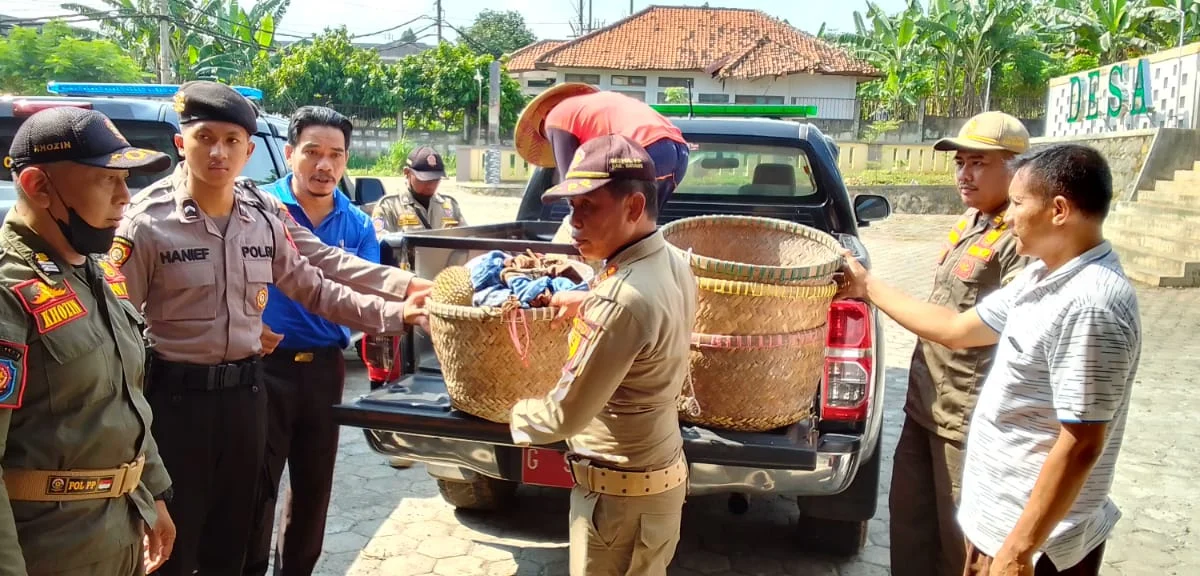 durian celeng