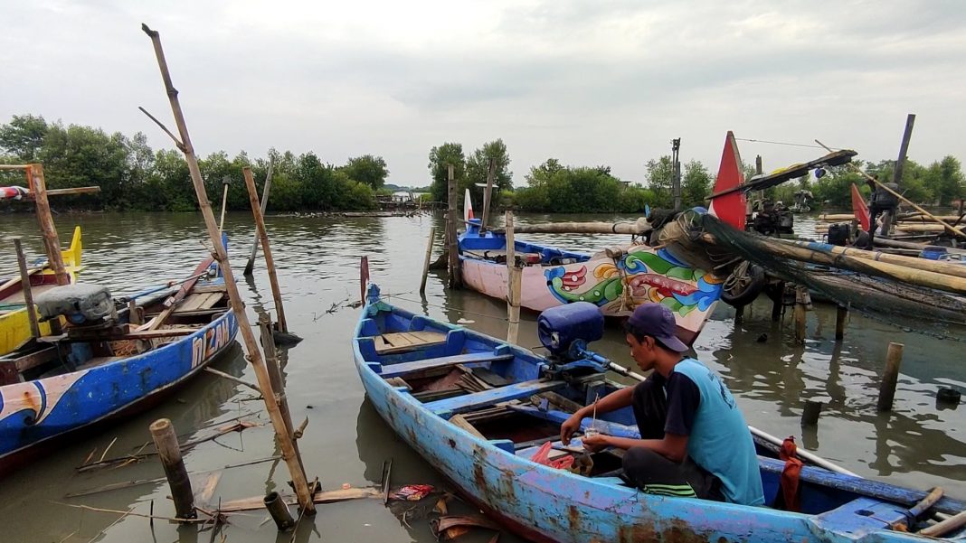 Panen raya ikan