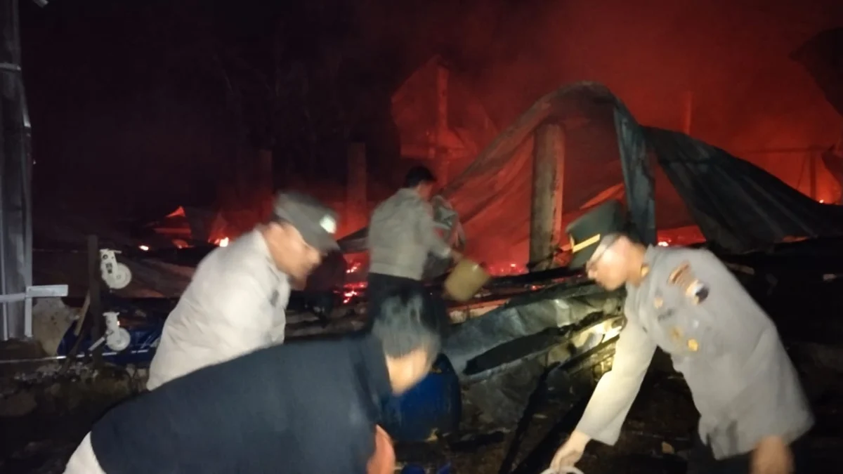 kandang ayam di pekalongan terbakar