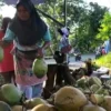 Kelapa muda