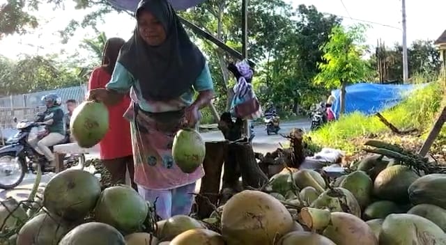 Kelapa muda