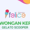 Gelato Scooper Felice Gelato Pekalongan