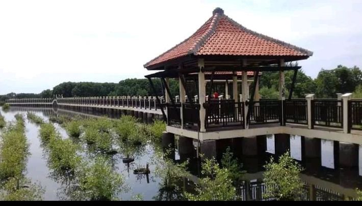 Wisata Mangrove Park Pekalongan