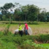 balon udara berukuran besar berhasil disita