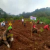 pulihkan lahan hutan igir gede