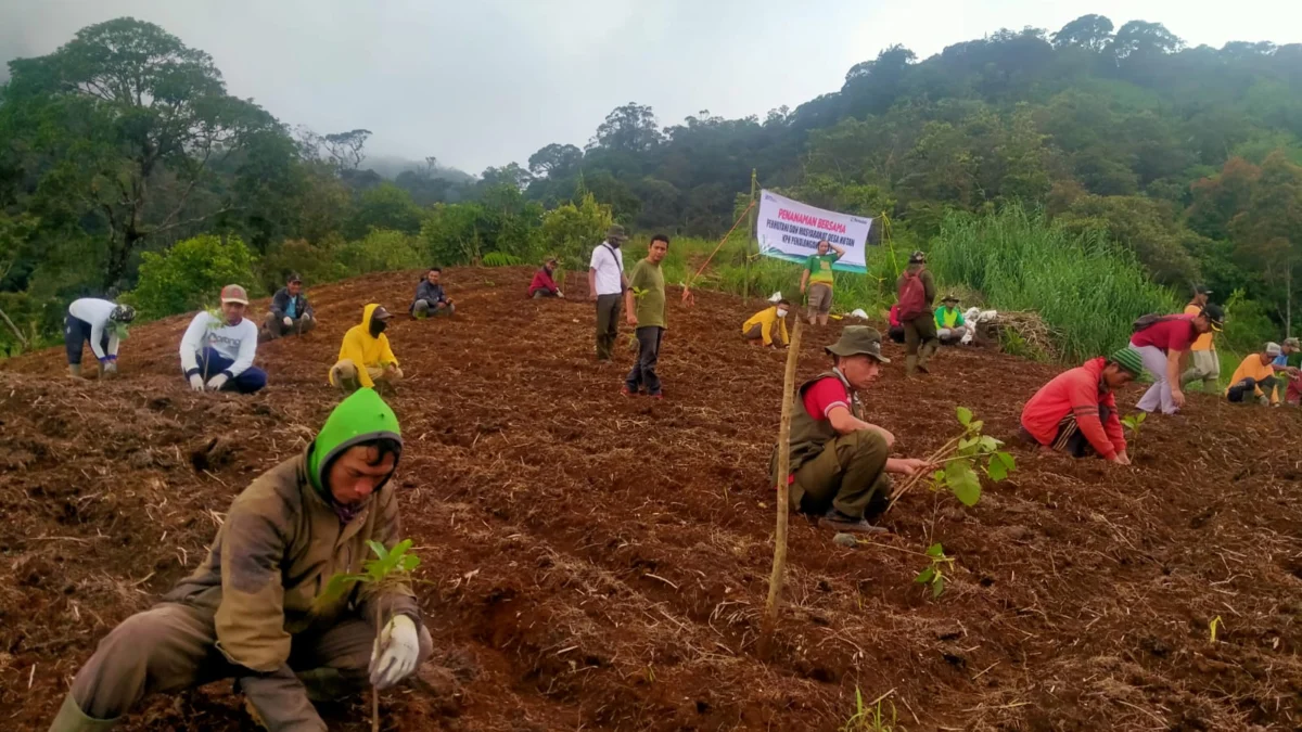 pulihkan lahan hutan igir gede