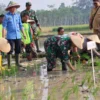 Perumda Air Minum Sendang Kamulyan