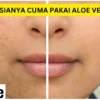 produk aloe vera untuk wajah