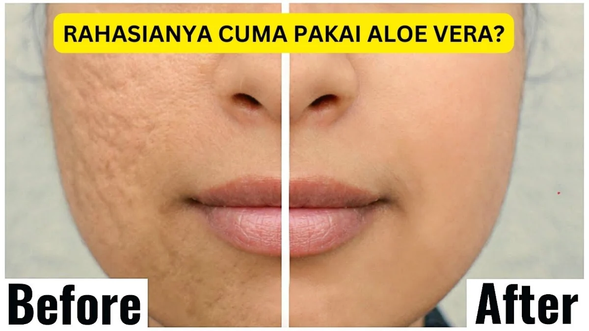 produk aloe vera untuk wajah