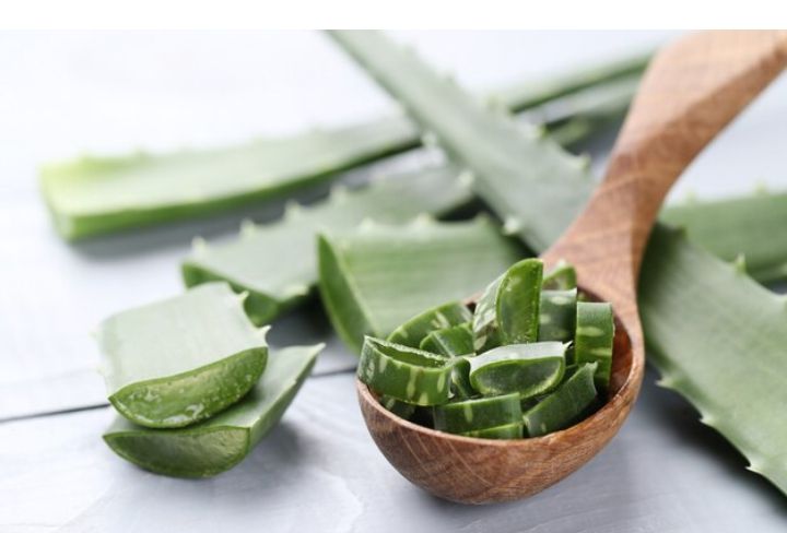 Skincare aloevera terbaik 2023