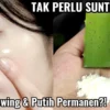 cara memutihkan wajah dengan lidah buaya dalam 1 hari