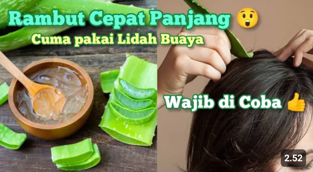 cara menggunakan lidah buaya untuk rambut