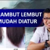 cara pakai lidah buaya untuk rambut