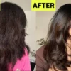 cara penggunaan minyak zaitun untuk rambut