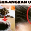 manfaat kopi untuk rambut