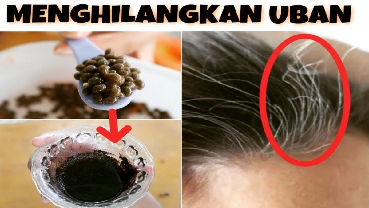 manfaat kopi untuk rambut