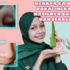 cara membuat masker lidah buaya untuk memutihkan wajah