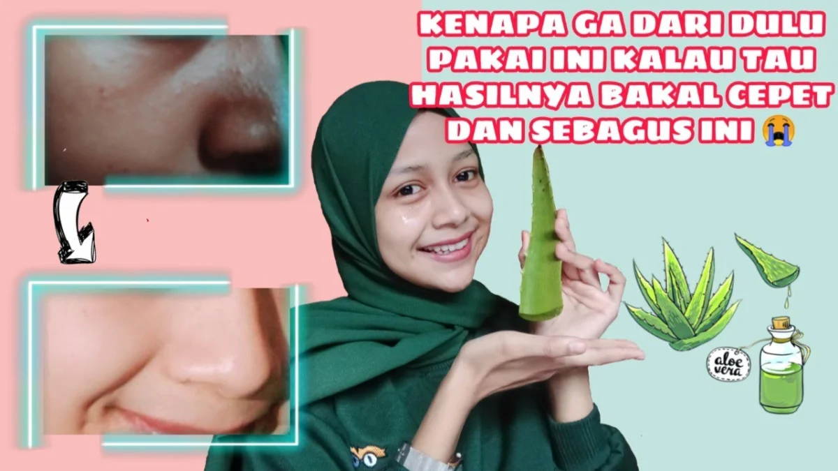 cara membuat masker lidah buaya untuk memutihkan wajah