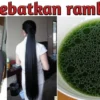 Menumbuhkan rambut dengan cepat dalam 3 hari