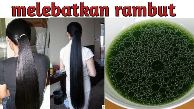 Menumbuhkan rambut dengan cepat dalam 3 hari