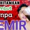 menghitamkan rambut beruban