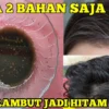 menghitamkan rambut beruban secara alami dan permanen