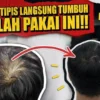 cara menggunakan minyak kemiri untuk rambut