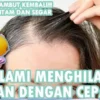 penghilang uban alami