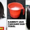 Cara agar rambut cepat panjang