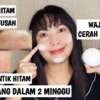 cream penghilang flek hitam wardah