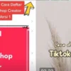 Cara Jualan di TikTok Shop