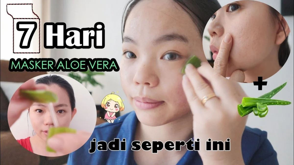 Cara menghilangkan flek hitam dengan aloe vera