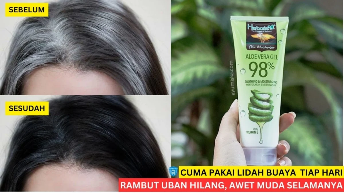 Cara menghitamkan rambut dengan lidah buaya