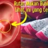 Manfaat Buah Naga untuk Ibu Hamil